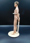 ken first edition nude side a